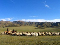 /album/fotogalerie/tibet-pastevci-jpg/